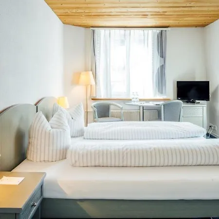 Otel Hotel-restaurant Bellevue 3*