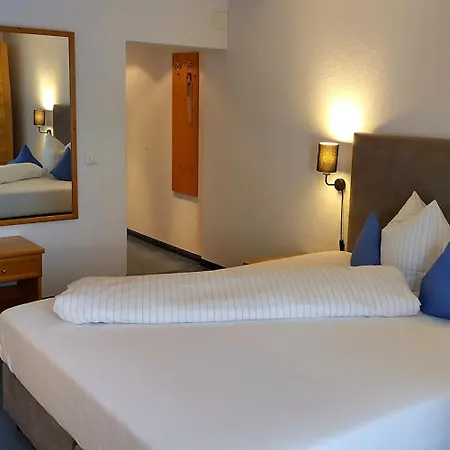 Hotel Hotel-restaurant Bellevue 3*