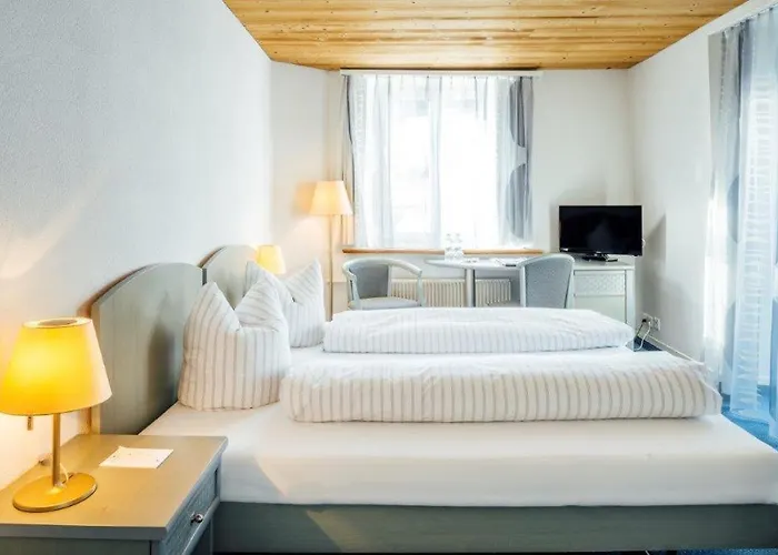 Hotel Hotel-restaurant Bellevue 3*