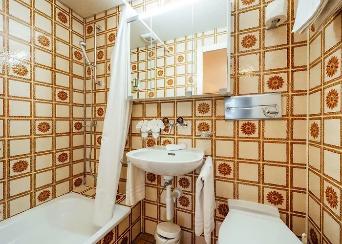 Hotel Hotel-restaurant Bellevue 3*