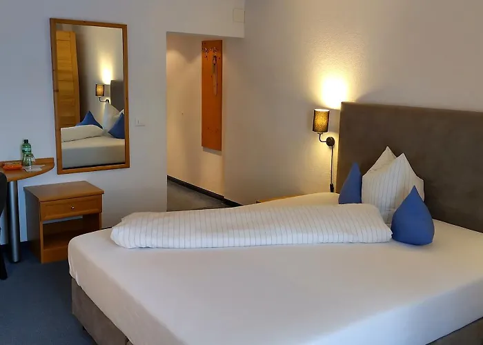 Hotel Hotel-restaurant Bellevue 3*